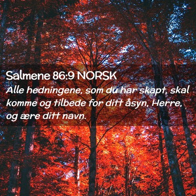 Picture 02 - Salmene 86:9 NORSK - Alle hedningene, som du har skapt, skal komme og - Bible Verse Picture