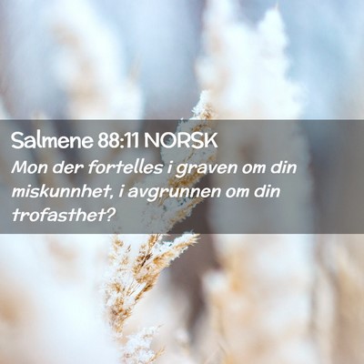 Picture 02 - Salmene 88:11 NORSK - Mon der fortelles i graven om din miskunnhet, i - Bible Verse Picture