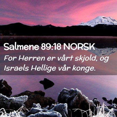 Picture 02 - Salmene 89:18 NORSK - For Herren er vårt skjold, og Israels Hellige - Bible Verse Picture