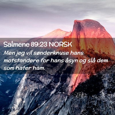 Picture 02 - Salmene 89:23 NORSK - Men jeg vil sønderknuse hans motstandere for - Bible Verse Picture