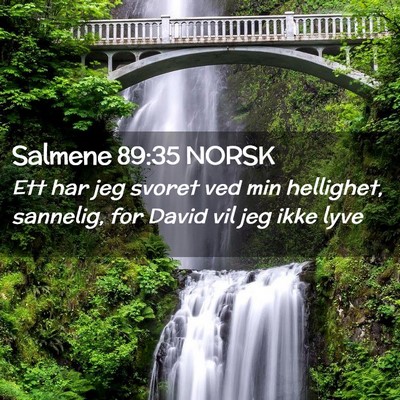 Picture 02 - Salmene 89:35 NORSK - Ett har jeg svoret ved min hellighet, sannelig, - Bible Verse Picture
