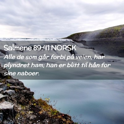 Picture 02 - Salmene 89:41 NORSK - Alle de som går forbi på veien, har plyndret - Bible Verse Picture