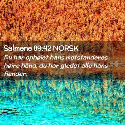 Picture 02 - Salmene 89:42 NORSK - Du har ophøiet hans motstanderes høire hånd, - Bible Verse Picture