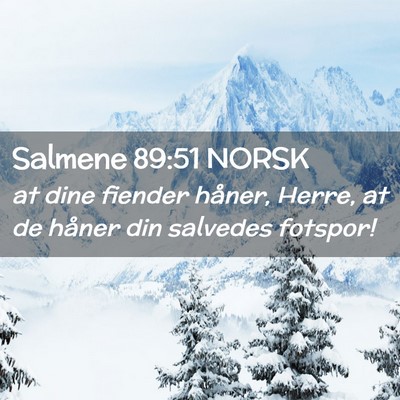 Picture 02 - Salmene 89:51 NORSK - at dine fiender håner, Herre, at de håner din - Bible Verse Picture