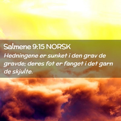 Picture 02 - Salmene 9:15 NORSK - Hedningene er sunket i den grav de gravde; deres - Bible Verse Picture