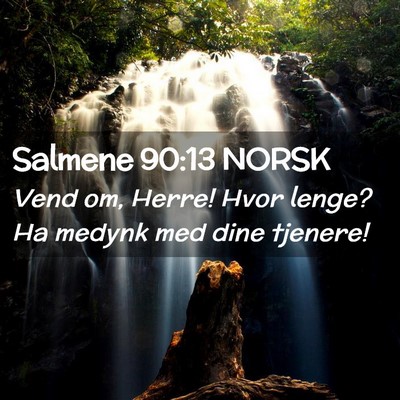 Picture 02 - Salmene 90:13 NORSK - Vend om, Herre! Hvor lenge? Ha medynk med dine - Bible Verse Picture
