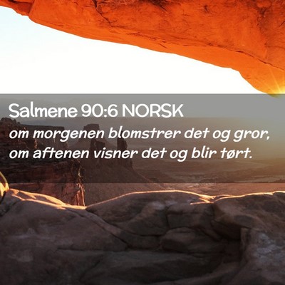 Picture 02 - Salmene 90:6 NORSK - om morgenen blomstrer det og gror, om aftenen - Bible Verse Picture