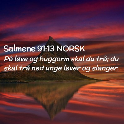 Picture 02 - Salmene 91:13 NORSK - På løve og huggorm skal du trå; du skal trå - Bible Verse Picture
