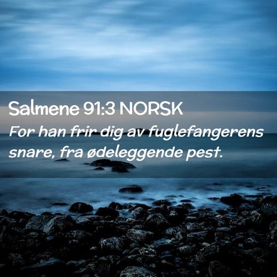 Picture 02 - Salmene 91:3 NORSK - For han frir dig av fuglefangerens snare, fra - Bible Verse Picture