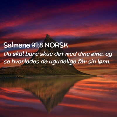 Picture 02 - Salmene 91:8 NORSK - Du skal bare skue det med dine øine, og se - Bible Verse Picture
