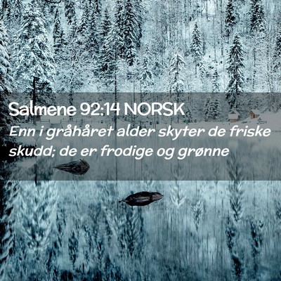 Picture 02 - Salmene 92:14 NORSK - Enn i gråhåret alder skyter de friske skudd; de - Bible Verse Picture