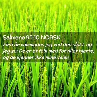 Picture 02 - Salmene 95:10 NORSK - Firti år vemmedes jeg ved den slekt, og jeg sa: - Bible Verse Picture
