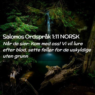 Picture 02 - Salomos Ordspråk 1:11 NORSK - Når de sier: Kom med oss! Vi vil lure efter - Bible Verse Picture