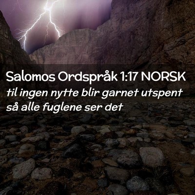 Picture 02 - Salomos Ordspråk 1:17 NORSK - til ingen nytte blir garnet utspent så alle - Bible Verse Picture