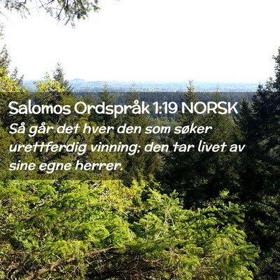 Picture 02 - Salomos Ordspråk 1:19 NORSK - Så går det hver den som søker urettferdig - Bible Verse Picture