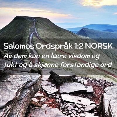 Picture 02 - Salomos Ordspråk 1:2 NORSK - Av dem kan en lære visdom og tukt og å skjønne - Bible Verse Picture
