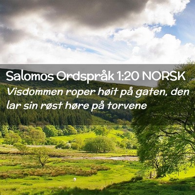 Picture 02 - Salomos Ordspråk 1:20 NORSK - Visdommen roper høit på gaten, den lar sin - Bible Verse Picture