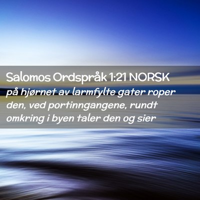 Picture 02 - Salomos Ordspråk 1:21 NORSK - på hjørnet av larmfylte gater roper den, ved - Bible Verse Picture