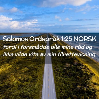 Picture 02 - Salomos Ordspråk 1:25 NORSK - fordi I forsmådde alle mine råd og ikke vilde - Bible Verse Picture