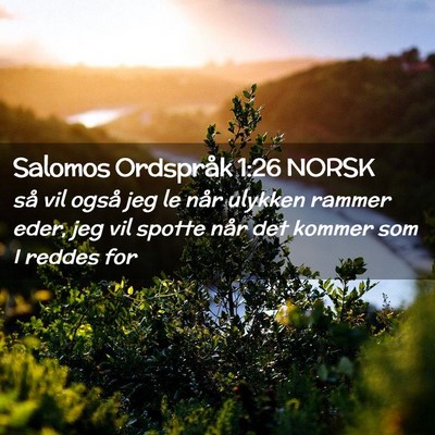 Picture 02 - Salomos Ordspråk 1:26 NORSK - så vil også jeg le når ulykken rammer eder, - Bible Verse Picture