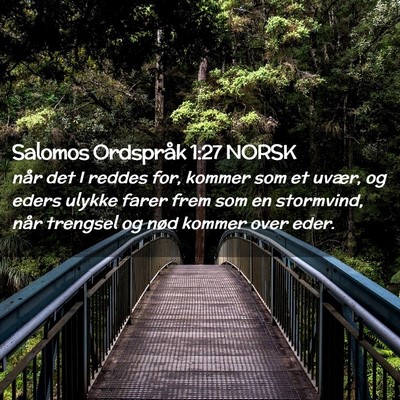 Picture 02 - Salomos Ordspråk 1:27 NORSK - når det I reddes for, kommer som et uvær, og - Bible Verse Picture