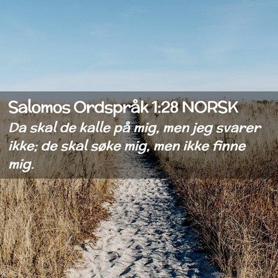 Picture 02 - Salomos Ordspråk 1:28 NORSK - Da skal de kalle på mig, men jeg svarer ikke; de - Bible Verse Picture