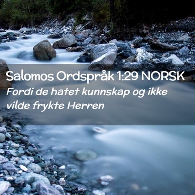 Picture 02 - Salomos Ordspråk 1:29 NORSK - Fordi de hatet kunnskap og ikke vilde frykte - Bible Verse Picture
