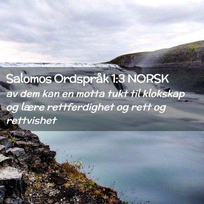 Picture 02 - Salomos Ordspråk 1:3 NORSK - av dem kan en motta tukt til klokskap og lære - Bible Verse Picture