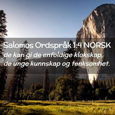 Picture 02 - Salomos Ordspråk 1:4 NORSK - de kan gi de enfoldige klokskap, de unge kunnskap - Bible Verse Picture