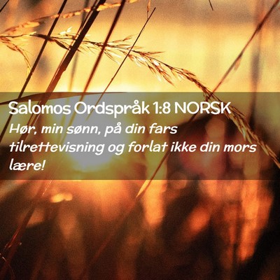Picture 02 - Salomos Ordspråk 1:8 NORSK - Hør, min sønn, på din fars tilrettevisning og - Bible Verse Picture