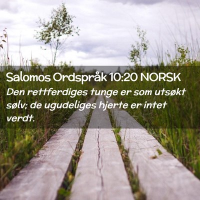 Picture 02 - Salomos Ordspråk 10:20 NORSK - Den rettferdiges tunge er som utsøkt sølv; de - Bible Verse Picture