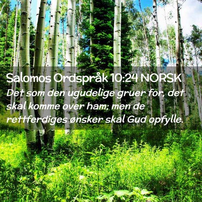 Picture 02 - Salomos Ordspråk 10:24 NORSK - Det som den ugudelige gruer for, det skal komme - Bible Verse Picture