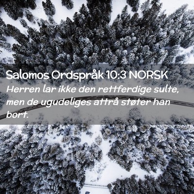 Picture 02 - Salomos Ordspråk 10:3 NORSK - Herren lar ikke den rettferdige sulte, men de - Bible Verse Picture