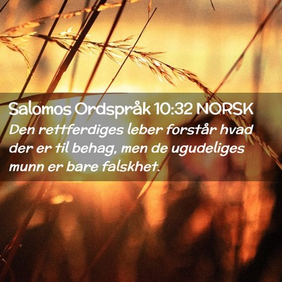 Picture 02 - Salomos Ordspråk 10:32 NORSK - Den rettferdiges leber forstår hvad der er til - Bible Verse Picture