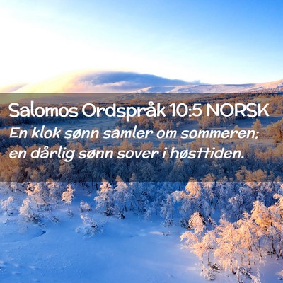 Picture 02 - Salomos Ordspråk 10:5 NORSK - En klok sønn samler om sommeren; en dårlig - Bible Verse Picture