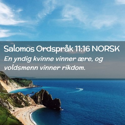 Picture 02 - Salomos Ordspråk 11:16 NORSK - En yndig kvinne vinner ære, og voldsmenn vinner - Bible Verse Picture