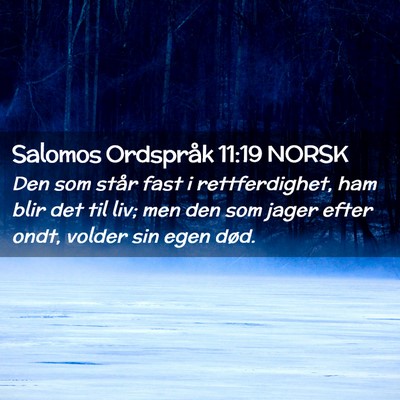 Picture 02 - Salomos Ordspråk 11:19 NORSK - Den som står fast i rettferdighet, ham blir det - Bible Verse Picture