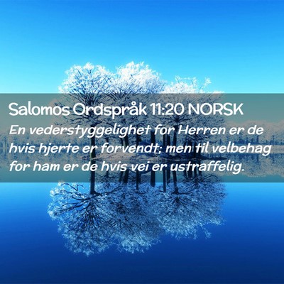 Picture 02 - Salomos Ordspråk 11:20 NORSK - En vederstyggelighet for Herren er de hvis hjerte - Bible Verse Picture