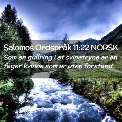 Picture 02 - Salomos Ordspråk 11:22 NORSK - Som en gullring i et svinetryne er en fager - Bible Verse Picture