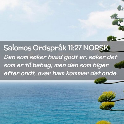Picture 02 - Salomos Ordspråk 11:27 NORSK - Den som søker hvad godt er, søker det som er - Bible Verse Picture