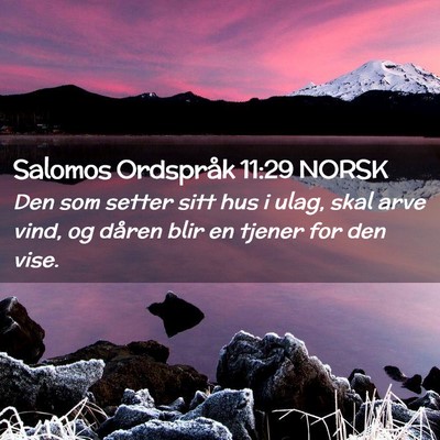 Picture 02 - Salomos Ordspråk 11:29 NORSK - Den som setter sitt hus i ulag, skal arve vind, - Bible Verse Picture