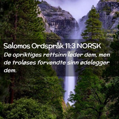 Picture 02 - Salomos Ordspråk 11:3 NORSK - De opriktiges rettsinn leder dem, men de - Bible Verse Picture