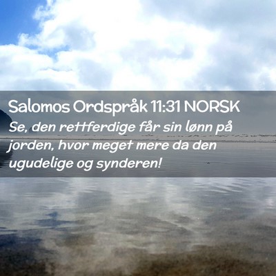 Picture 02 - Salomos Ordspråk 11:31 NORSK - Se, den rettferdige får sin lønn på jorden, - Bible Verse Picture