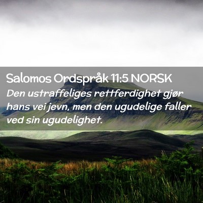 Picture 02 - Salomos Ordspråk 11:5 NORSK - Den ustraffeliges rettferdighet gjør hans vei - Bible Verse Picture