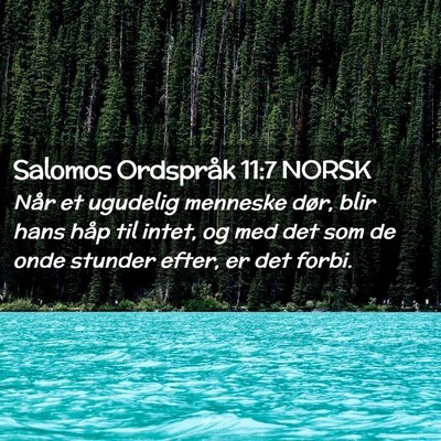 Picture 02 - Salomos Ordspråk 11:7 NORSK - Når et ugudelig menneske dør, blir hans håp - Bible Verse Picture