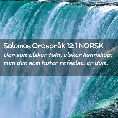 Picture 02 - Salomos Ordspråk 12:1 NORSK - Den som elsker tukt, elsker kunnskap; men den som - Bible Verse Picture