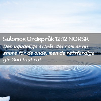 Picture 02 - Salomos Ordspråk 12:12 NORSK - Den ugudelige attrår det som er en snare for de - Bible Verse Picture