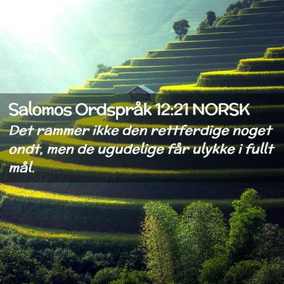 Picture 02 - Salomos Ordspråk 12:21 NORSK - Det rammer ikke den rettferdige noget ondt, men - Bible Verse Picture