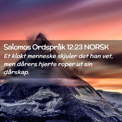 Picture 02 - Salomos Ordspråk 12:23 NORSK - Et klokt menneske skjuler det han vet, men - Bible Verse Picture
