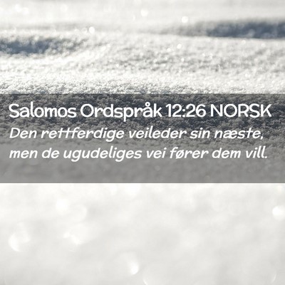Picture 02 - Salomos Ordspråk 12:26 NORSK - Den rettferdige veileder sin næste, men de - Bible Verse Picture